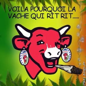 14vl20 ou f0gwl stephane bauchot